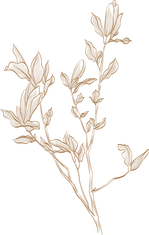 flower-2