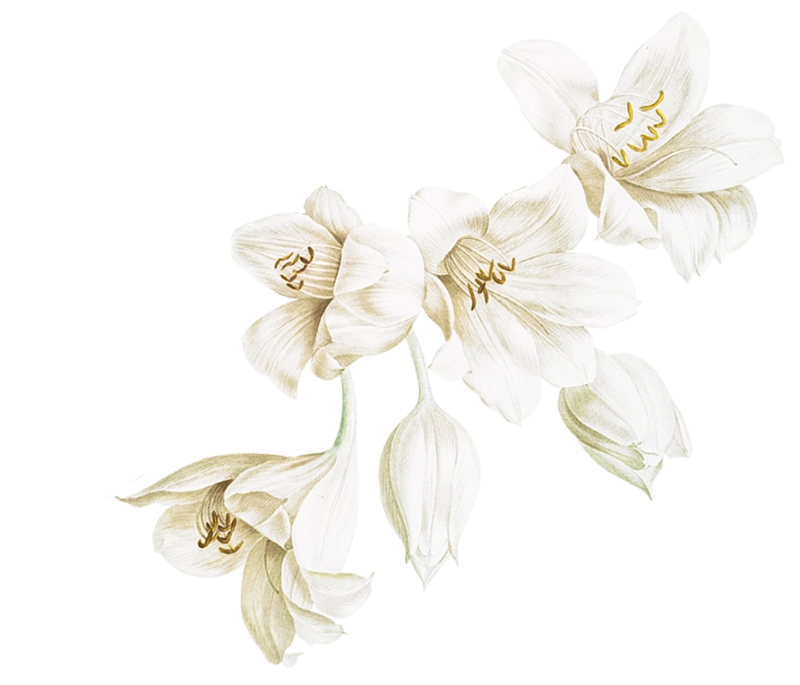 floral