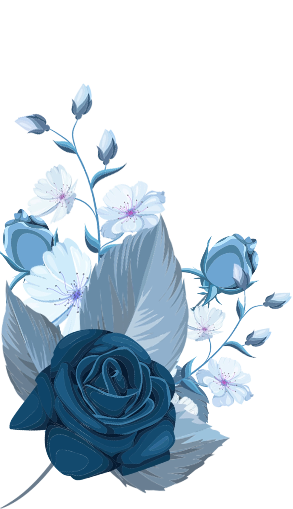 lavender-4
